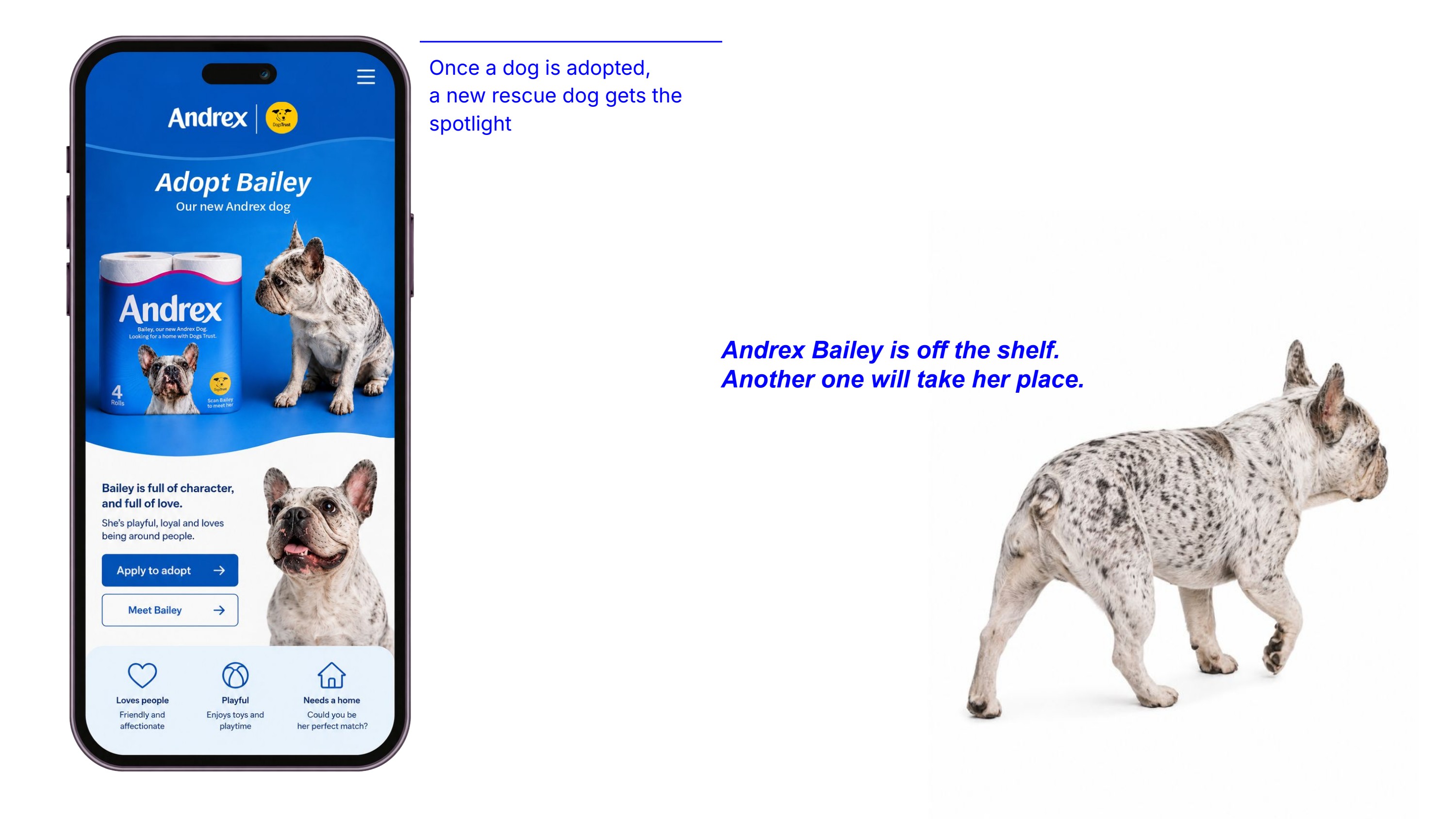 Andrex — slide 6