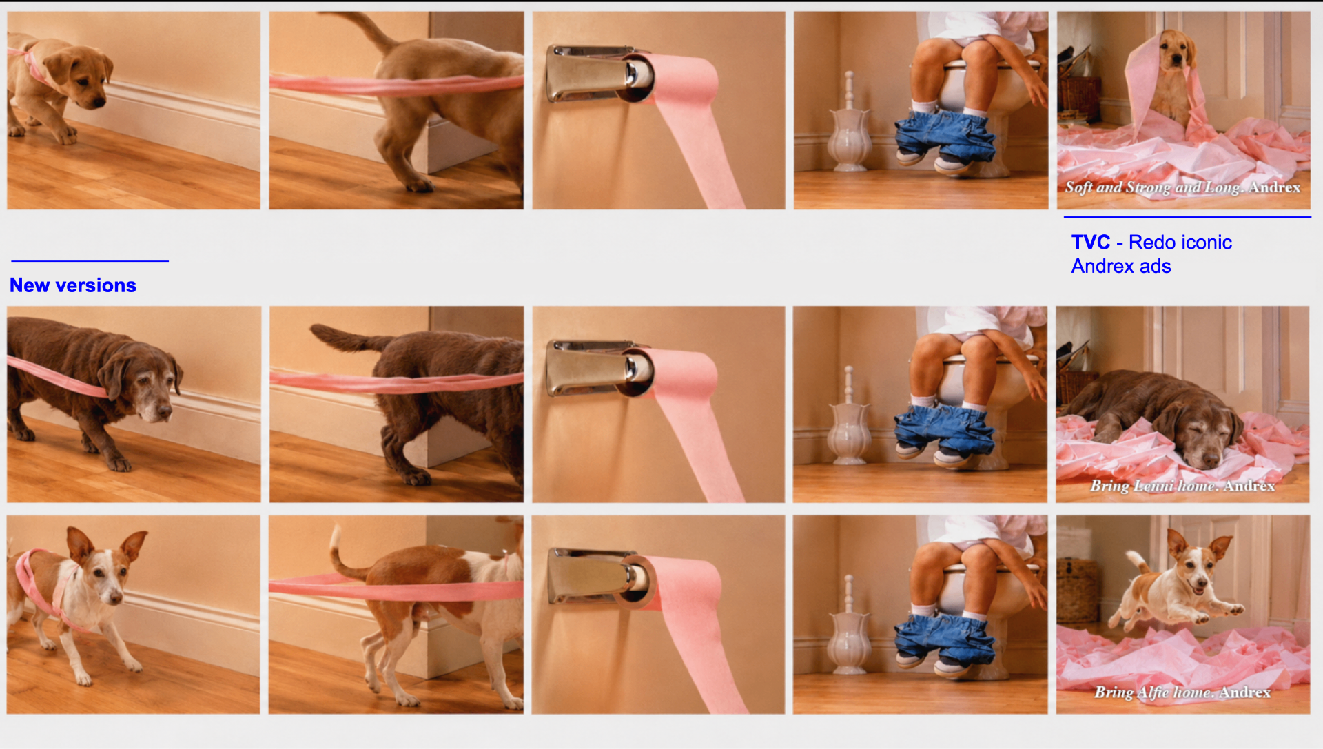 Andrex — slide 4