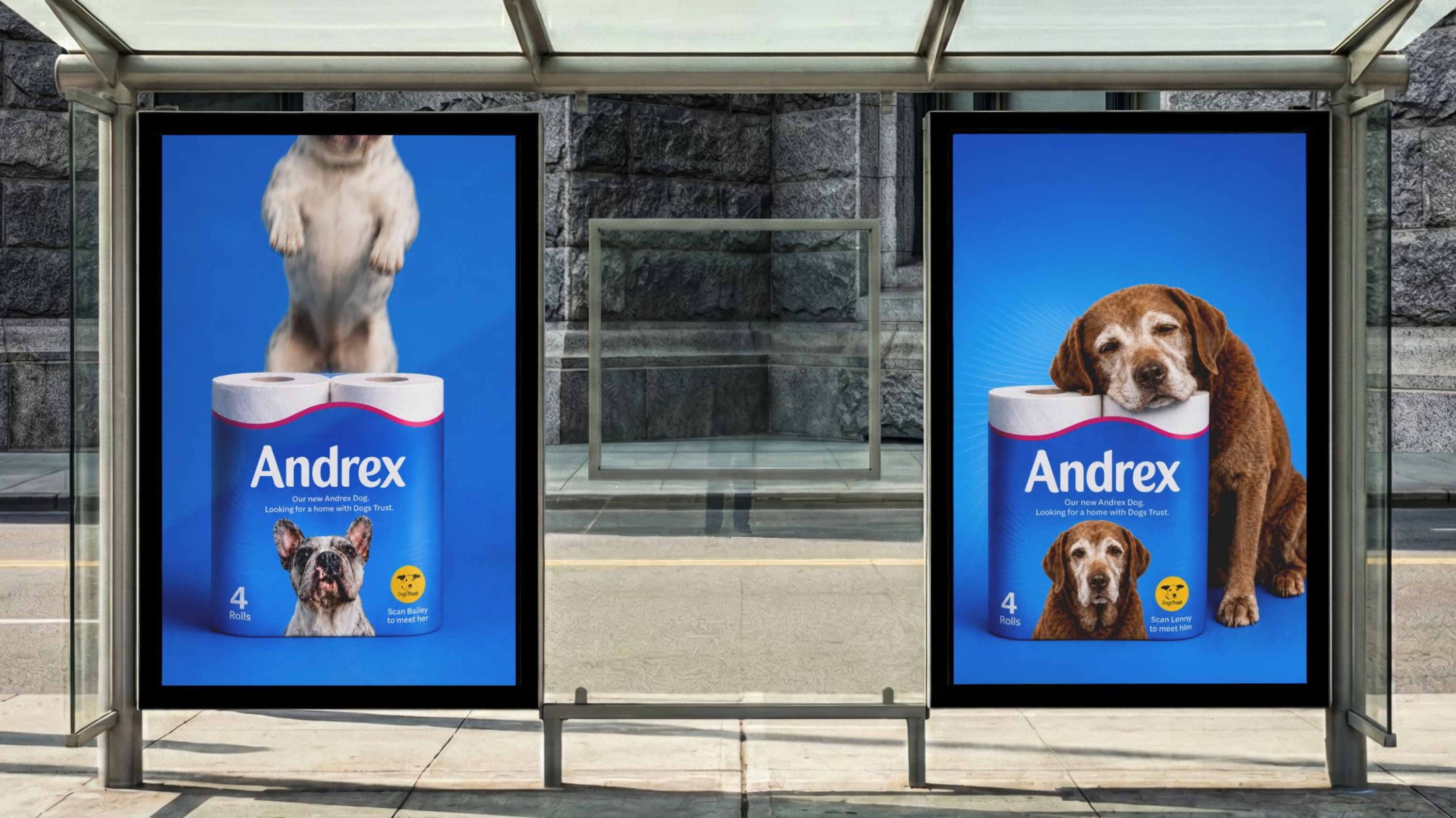 Andrex — slide 5