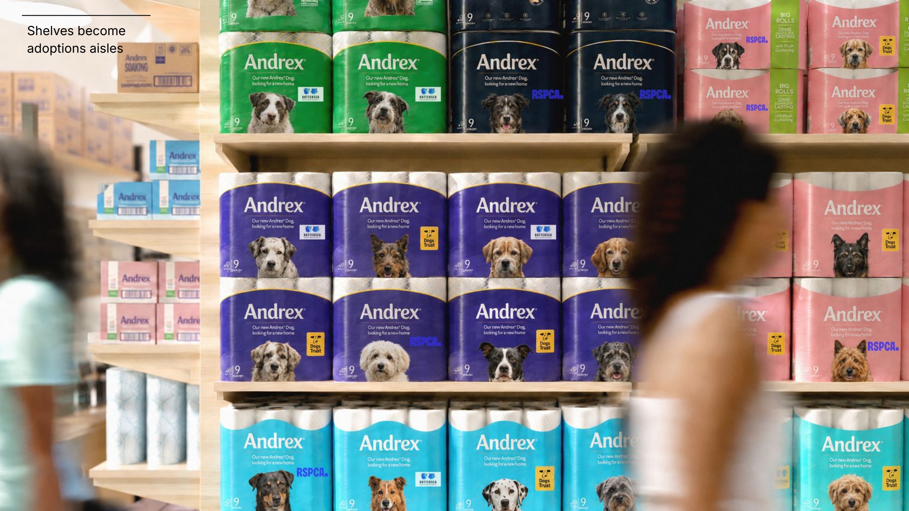 Andrex — slide 1
