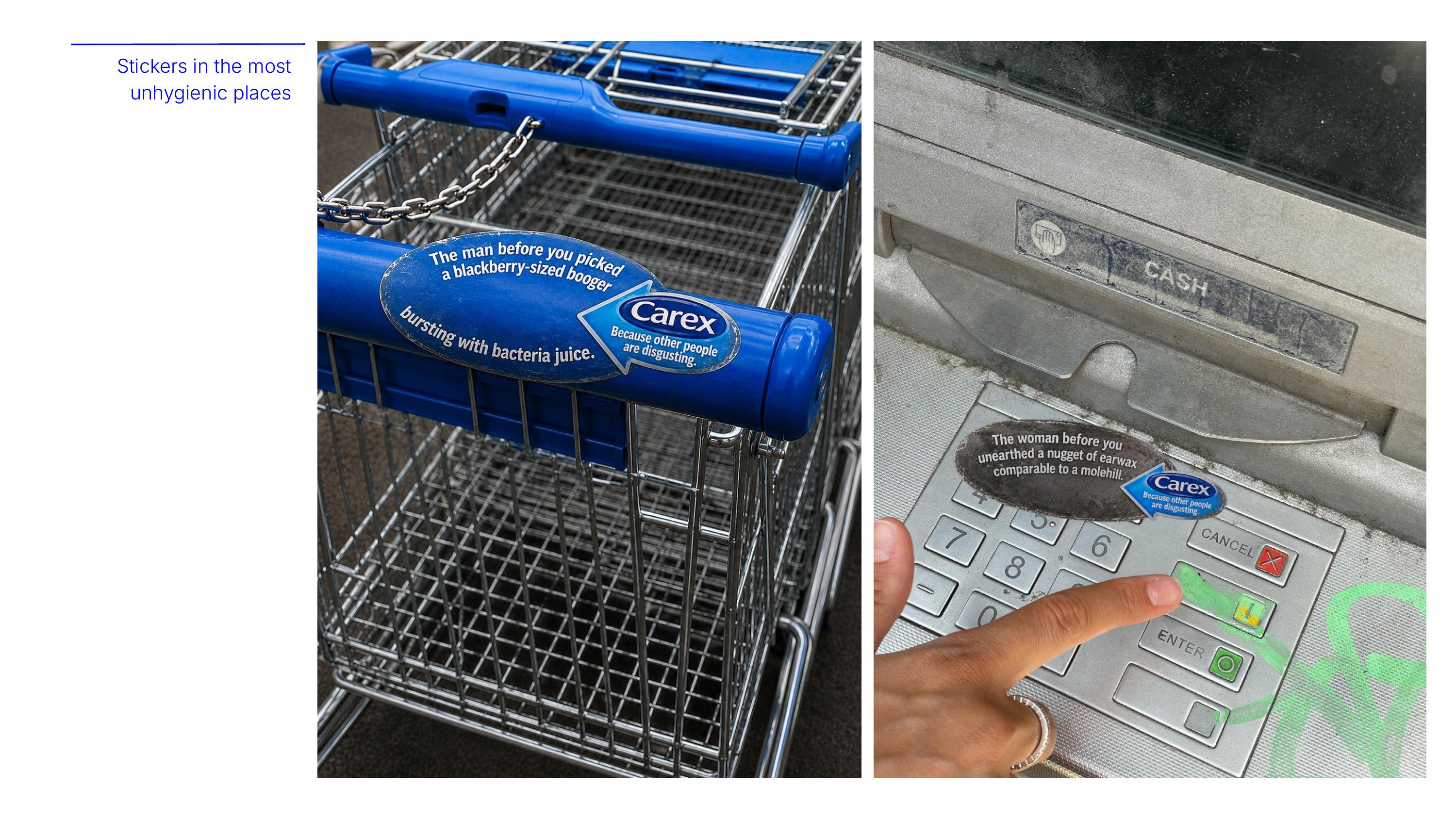 Carex — slide 4