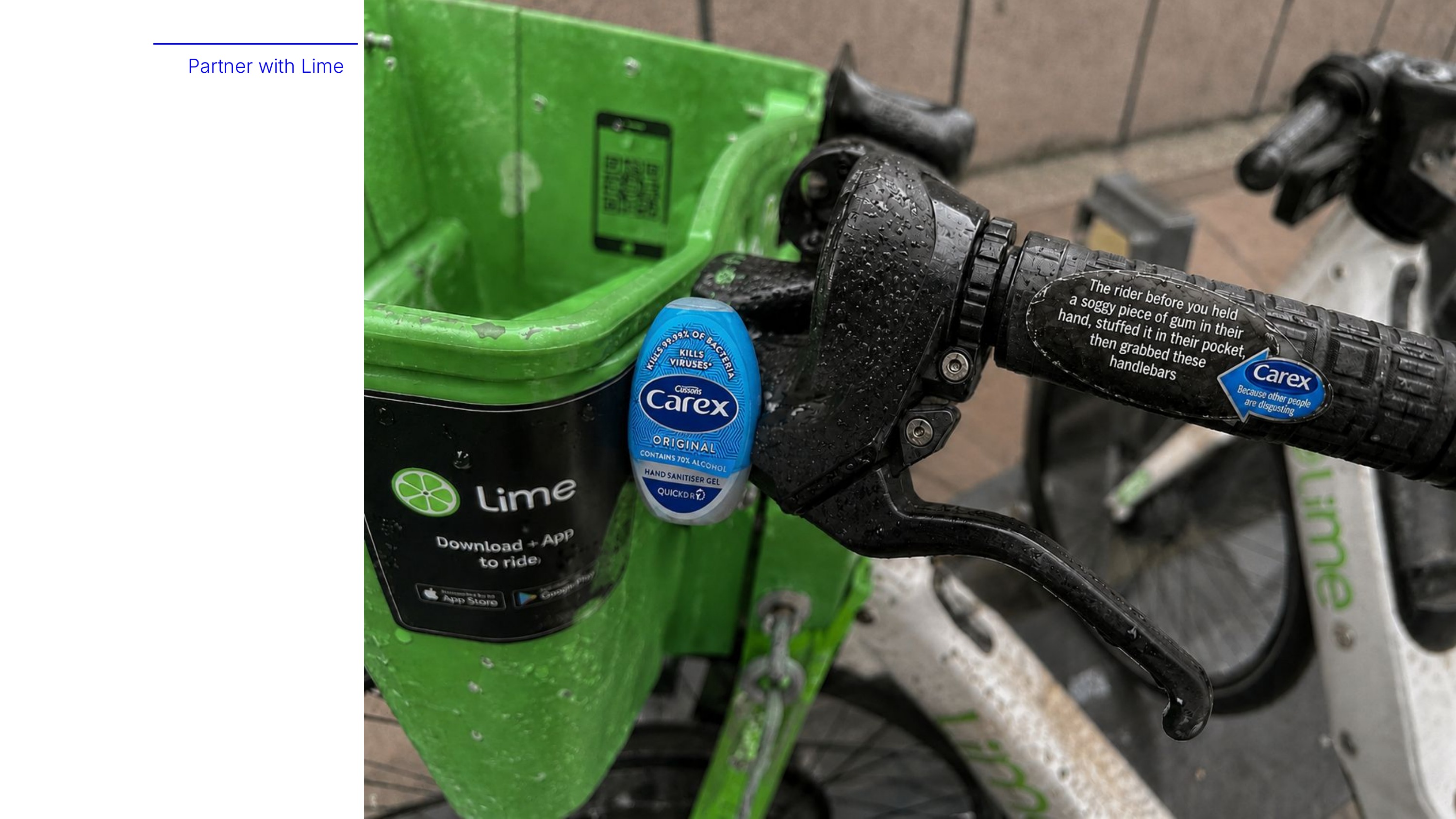 Carex — slide 6